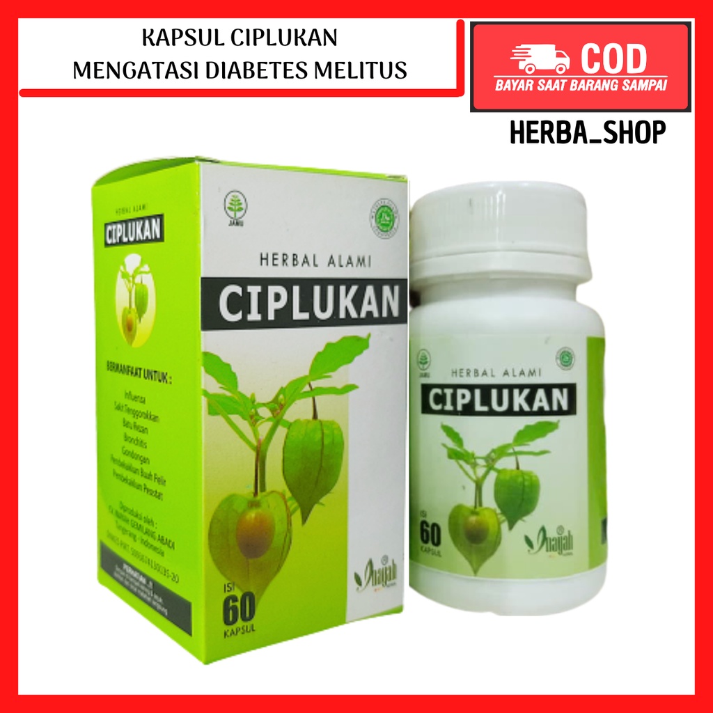 Jual Ciplukan Inayah Obat Stroke Ampuh Terbukti Herbal Suplemen Untuk