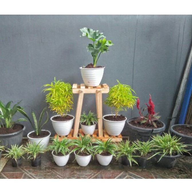 Jual PROMO! tempat bunga berat 1kg/ Rak bunga minimalis dari kayu halus ...