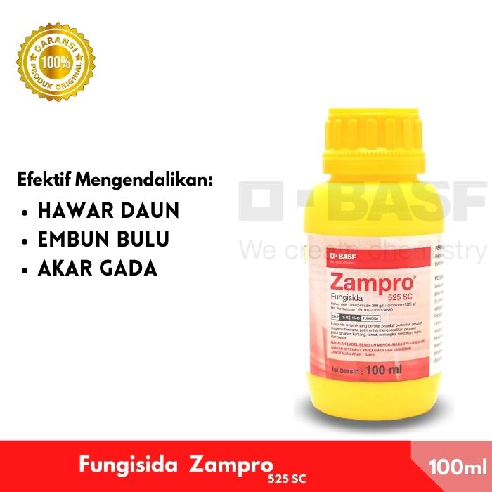 Jual Obat Busuk Daun Hawar Daun Kentang Fungisida Sistemik Zampro Ml Shopee Indonesia