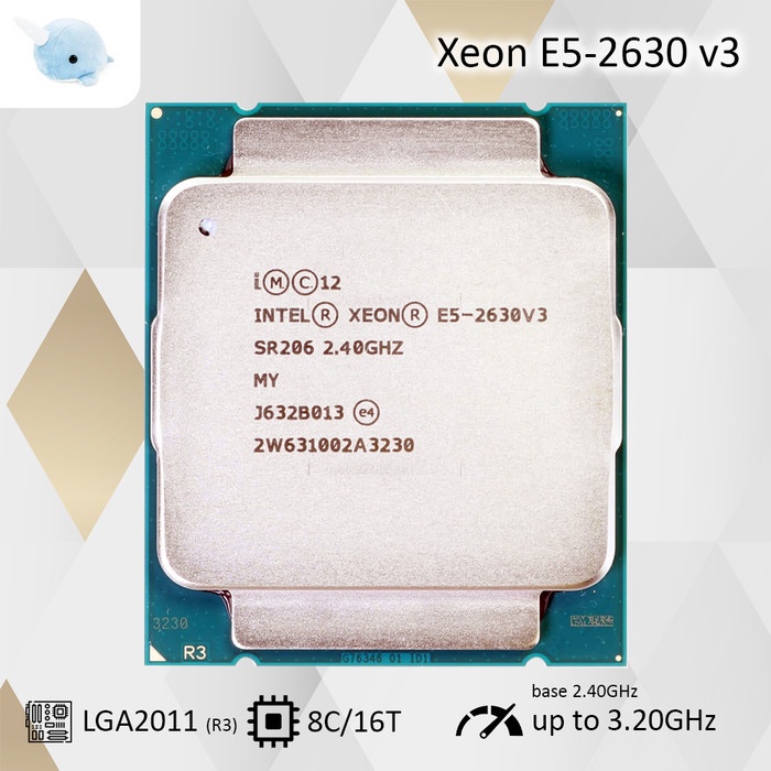 Jual Intel Xeon E5-2630 v3 Processor 3.20GHz LGA 2011-3 CPU Second ...