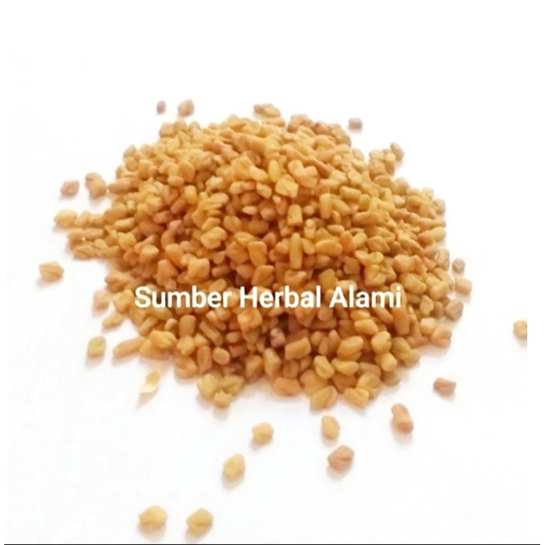 Jual Methi Seeds Biji Kelabet Klabet Fenugreek Cod Shopee Indonesia