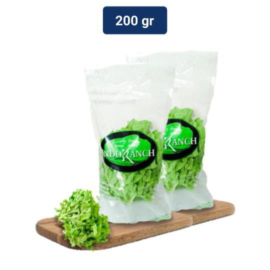 Jual INDORANCH Green Oakleaf Lettuce Hidroponik 1 pack (200 gr ...