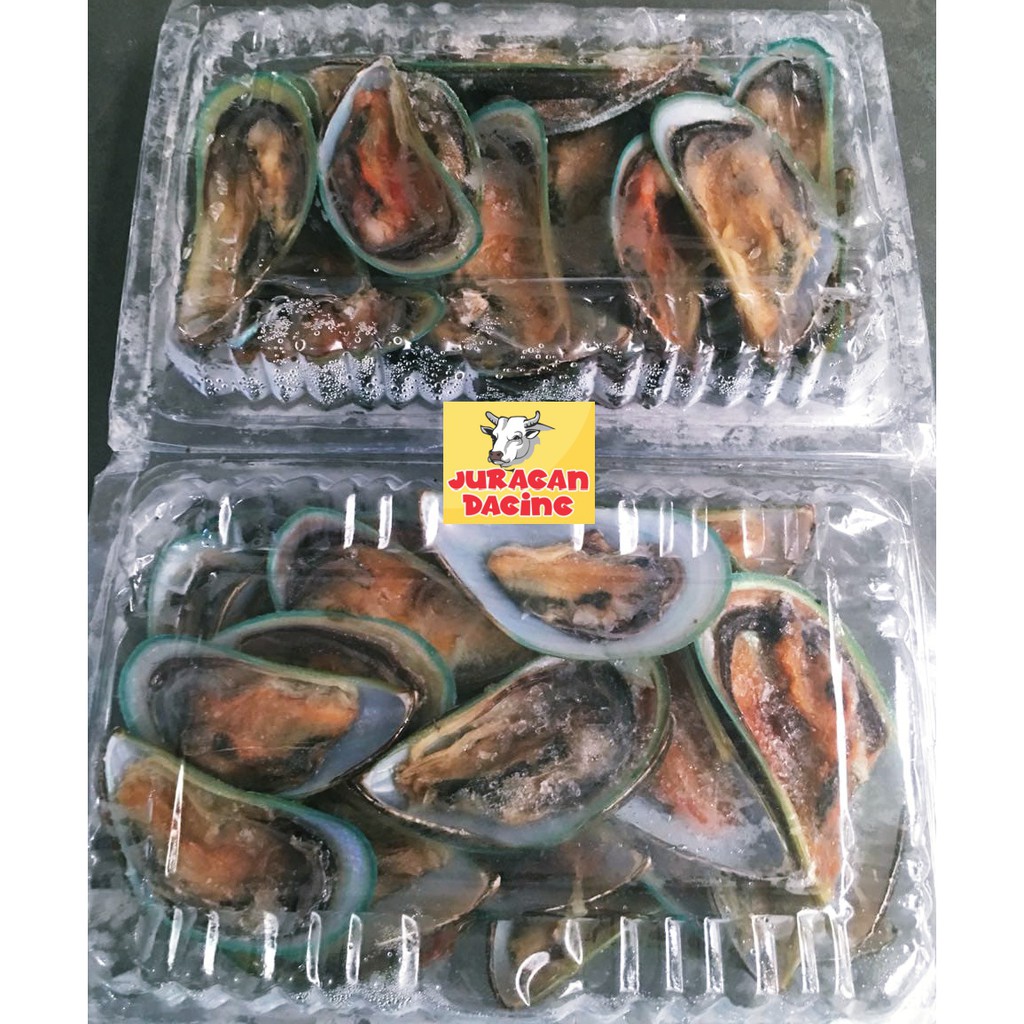 Jual Kerang Hijau / green mussel Premium Quality - 500 gram | Shopee ...