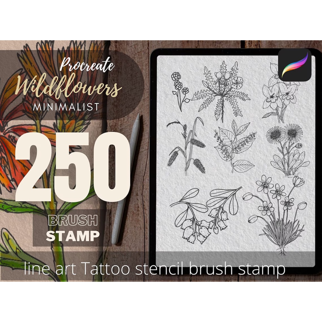 Jual Procreate Brush - Wildflowers Brush Stamp for Procreate | Shopee ...