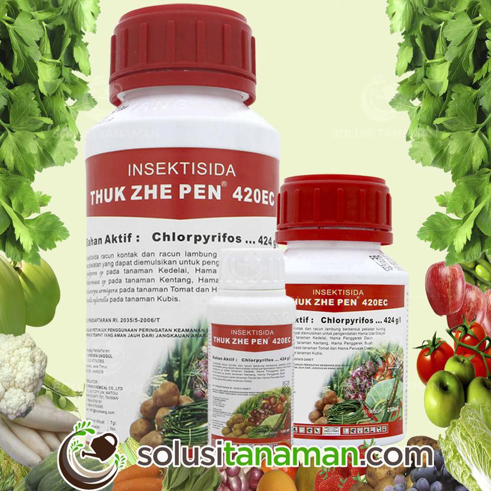 Jual DM12 PESTISIDA THUK ZHE PEN @ 500ML OBAT INSEKTISIDA PEMBASMI HAMA ...