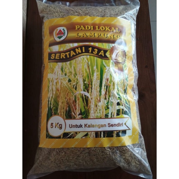 Jual Benih Padi Sertani 13a Berat 5 Kg Padi Lokal Shopee Indonesia