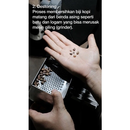 ROBUSTA LAMPUNG
