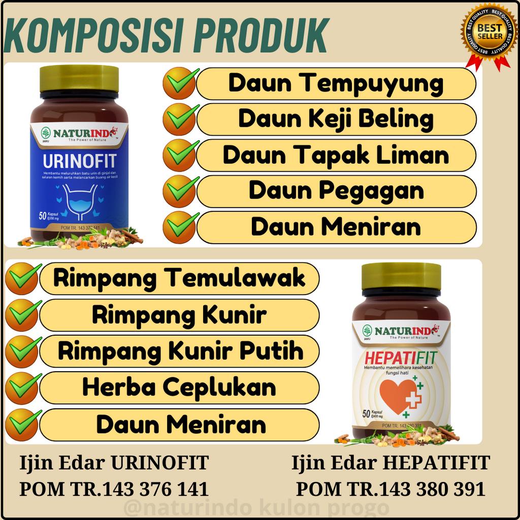 Jual Obat Anemia Kurang Darah Penambah Darah HB Hemoglobin Anak dan ...