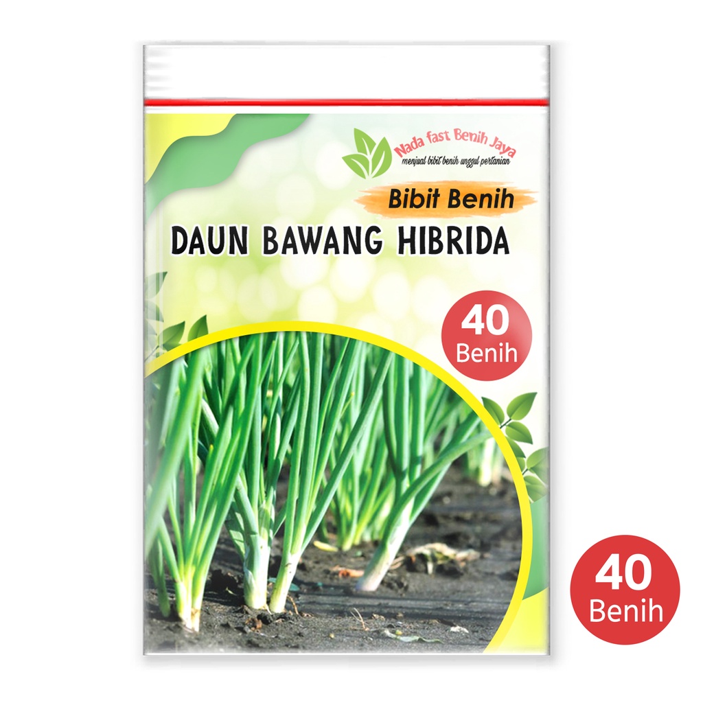 Nada fast benih jaya - 40 biji Bibit sayuran - benih sayuran daun bawang blaze kualitas No1