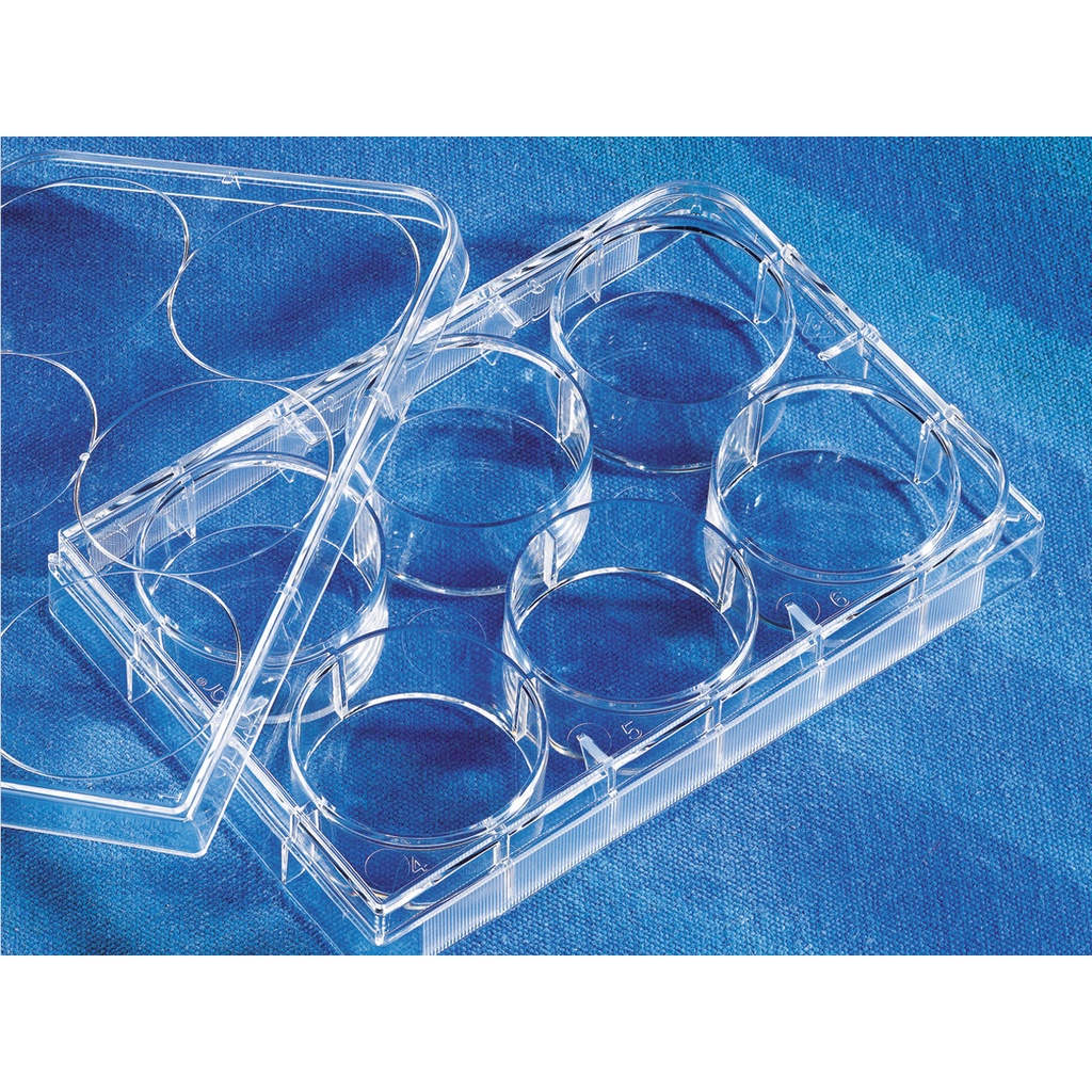 Jual 3516 Costar® 6 Well Clear Tc Treated Multiple Well Plates Individually Wrapped Sterile