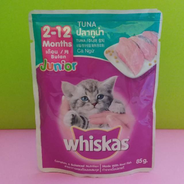 Jual Whiskas Junior 212 Months (Kitten) Shopee Indonesia