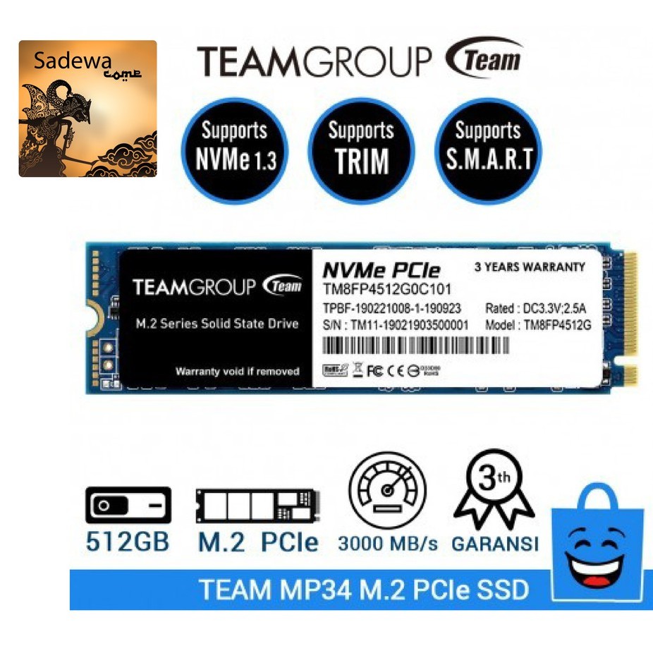 Jual Team MP34 TM8FP4512G0C101 PCIe Gen3x4 with NVMe 1.3 SSD 512 GB BLACK Shopee Indonesia
