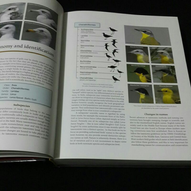 Jual BIRDS of KUWAIT: A COMPREHENSIVE VISUAL GUIDE | Shopee Indonesia