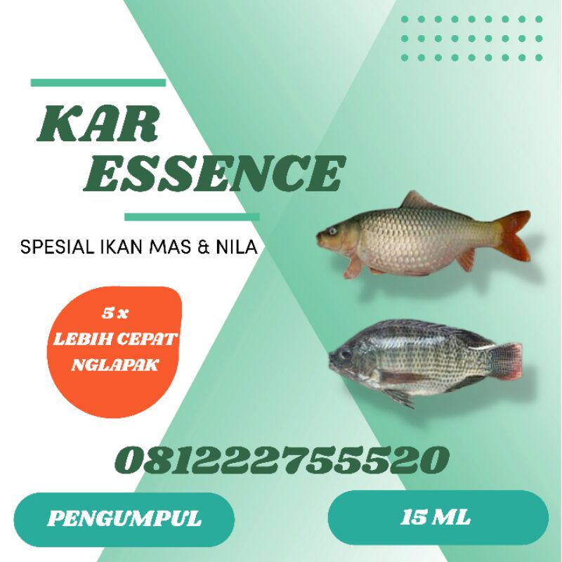 Jual Oplosan Essen Pengumpul Ikan Mas Dan Nila Super Ampuh Shopee Indonesia 0349