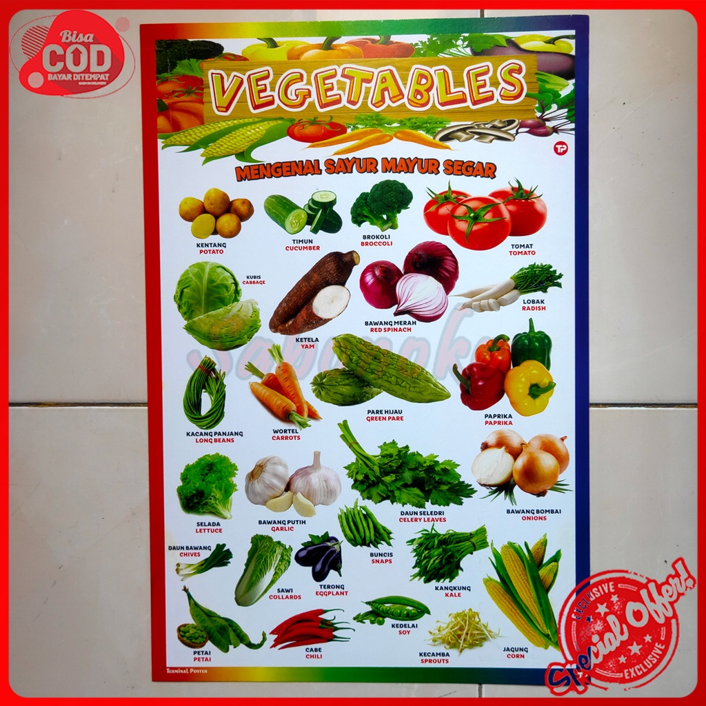 Jual Poster Sayuran Poster Edukasi Sayuran Shopee Indonesia