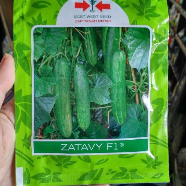 Jual Benih Timun Hibrida Zatavy Gram Shopee Indonesia