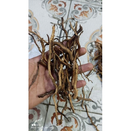Jual patahan akar rasamala aquascape | Shopee Indonesia