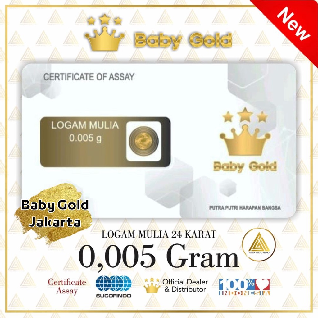 Jual Baby Gold Emas Mini 0,005 Gram Logam Mulia 24 Karat 0.005gr ...