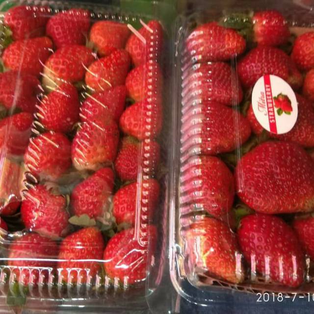 Jual Buah Strawberry Organik Bandung | Shopee Indonesia