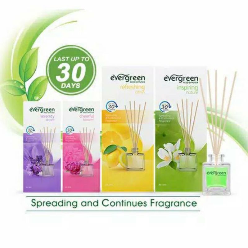 Jual Evergreen Reed Diffuser Pengharum Ruangan 30ml | Shopee Indonesia