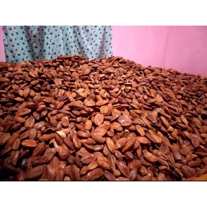 Jual Kacang Kenari Kulit Ari (500 Gram) / Whole Galip Nuts / Ngali nut ...