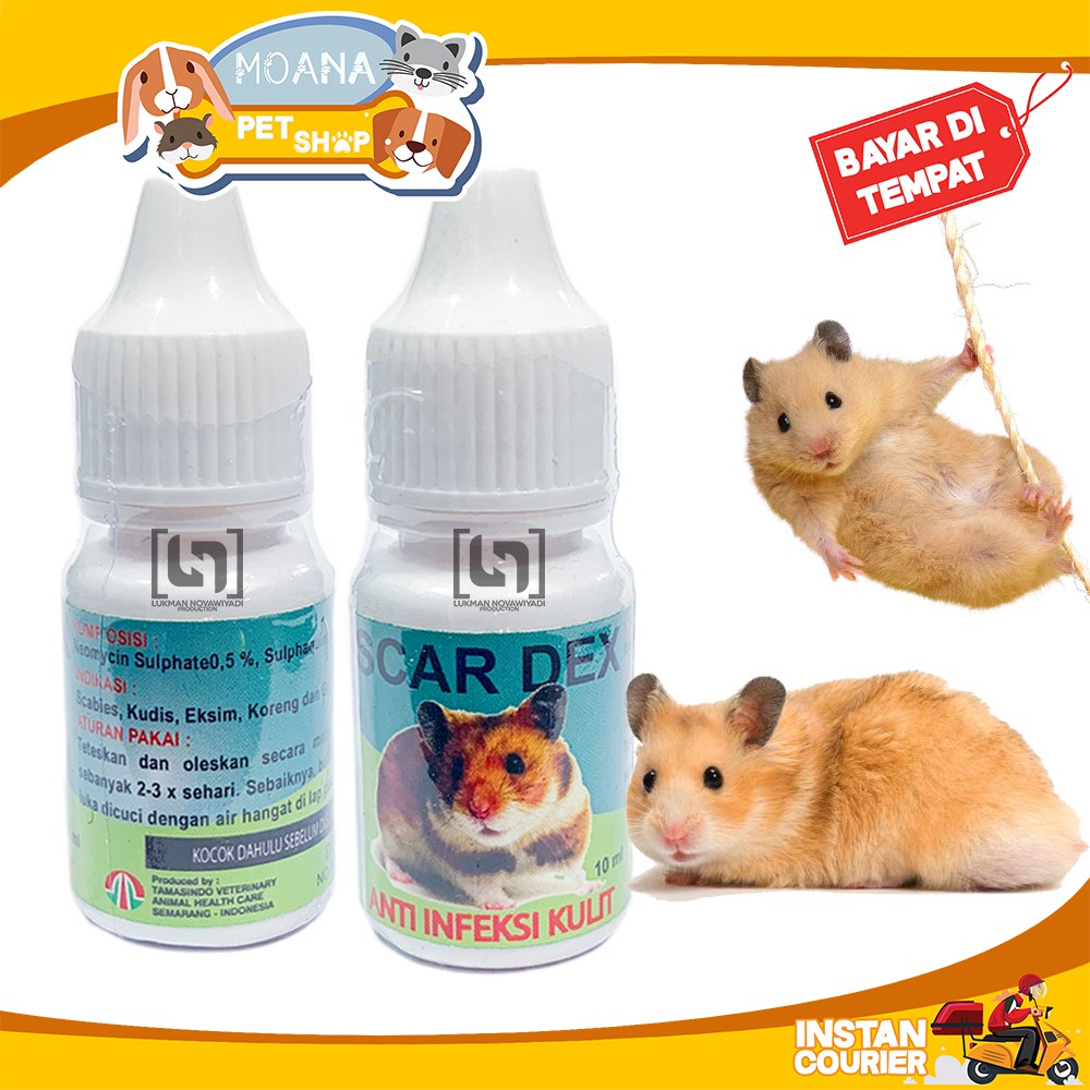 Jual Obat Jamur Hamster Scabies Hamster Infeksi Kulit Scar Dex Ml