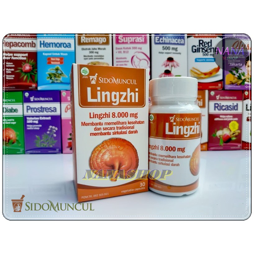 Jual Jamur Lingzhi Sidomuncul Obat Tumor Kanker Sirkulasi Darah