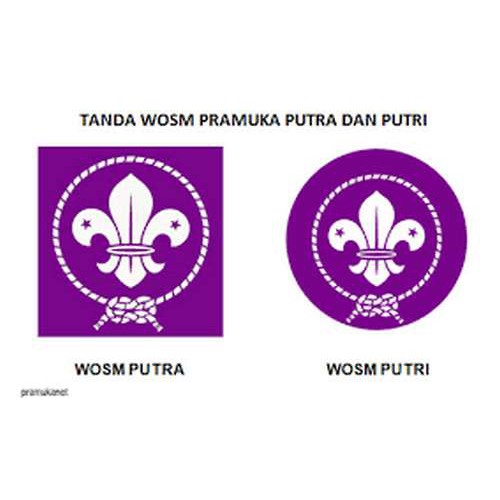 Jual Logo Emblem Bordir Pandu Dunia Pramuka | Shopee Indonesia