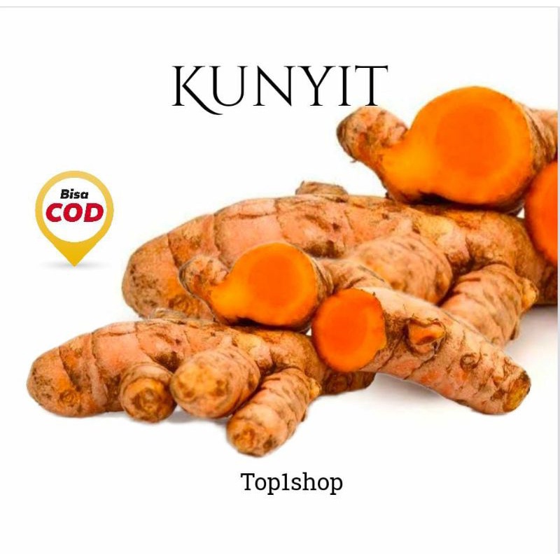 Jual Kunyit Segar 1kg Shopee Indonesia 3478