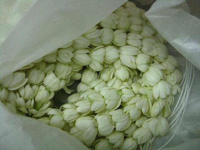 Jual Ronce Melati siraman asli | Shopee Indonesia