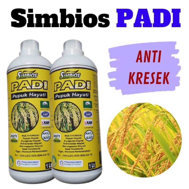 Jual Simbios Pupuk Cair Untuk Padi Bunting Fungisida Alami Padi Shopee Indonesia