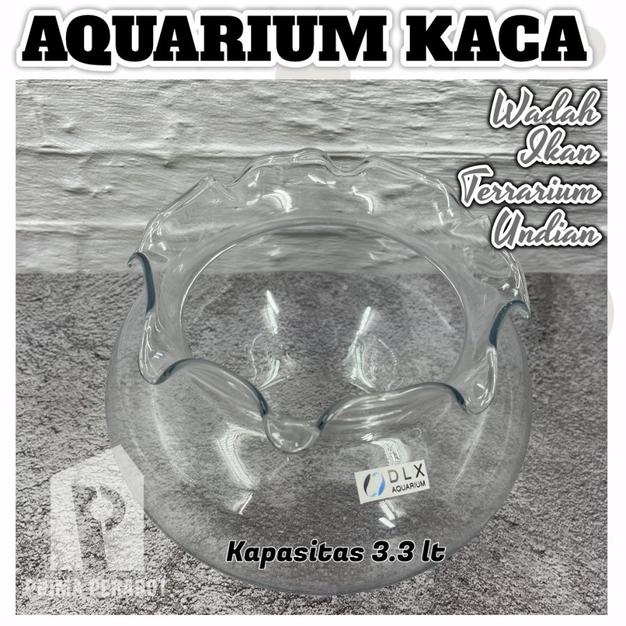 Jual DLX AQUARIUM bulat Kaca Wadah Ikan Cupang /Vas Terarium/ Undian