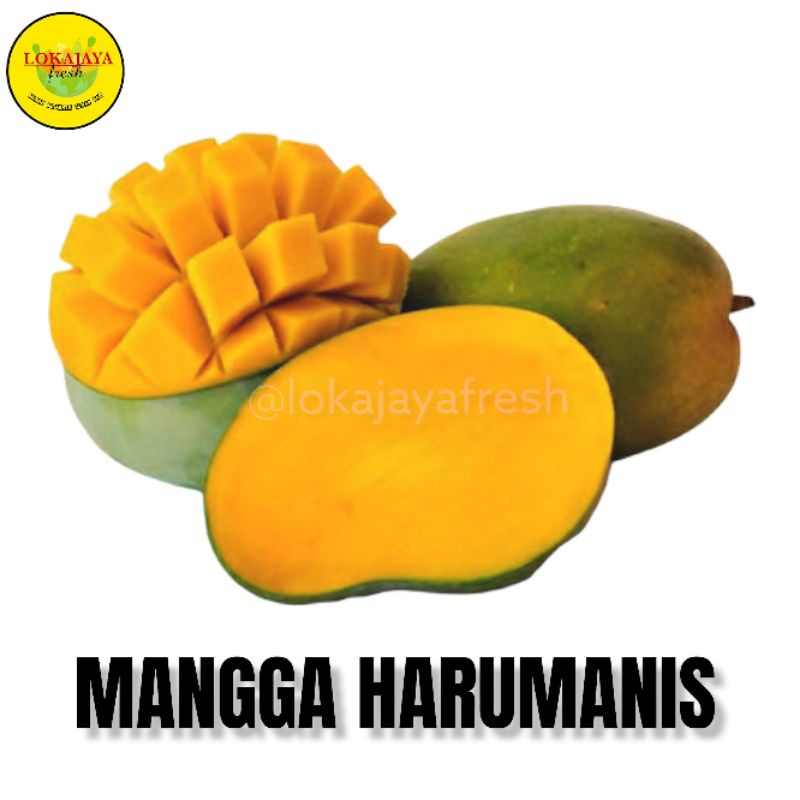 Jual Mangga Harumanis 1 Kg | Shopee Indonesia