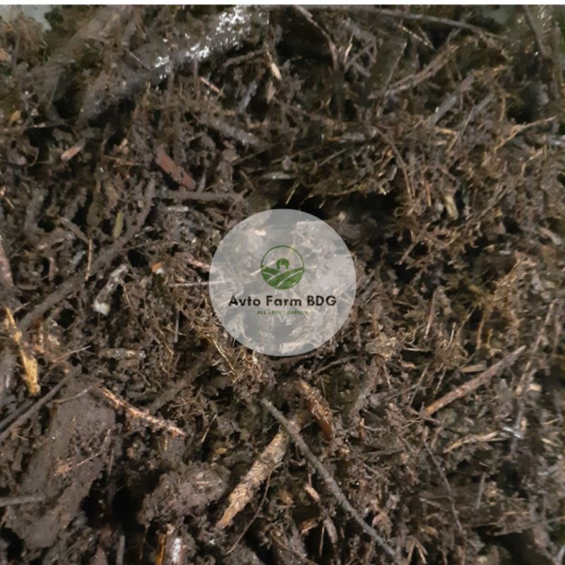 Jual humus bambu hutan murni 5kg | Shopee Indonesia