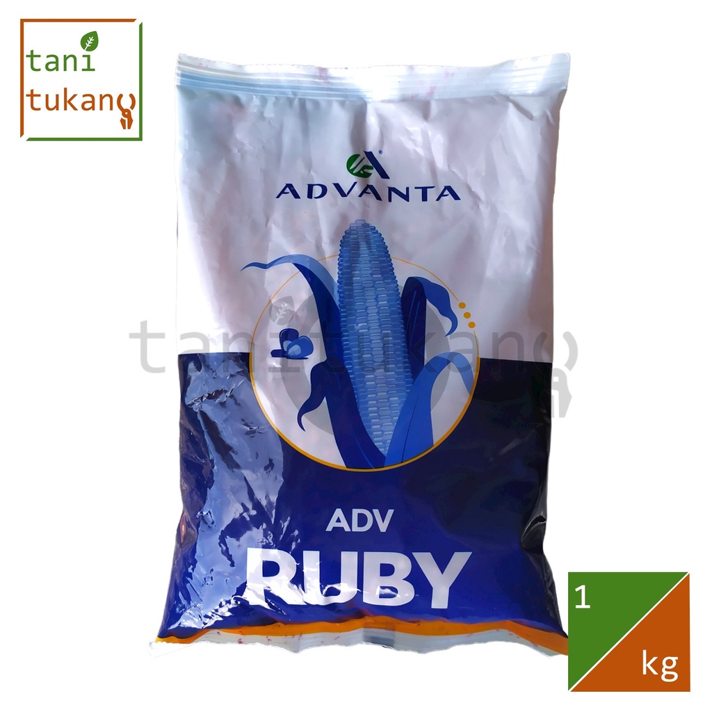 Jual Benih Jagung ADVANTA ADV 777 RUBY 1 kg | Shopee Indonesia