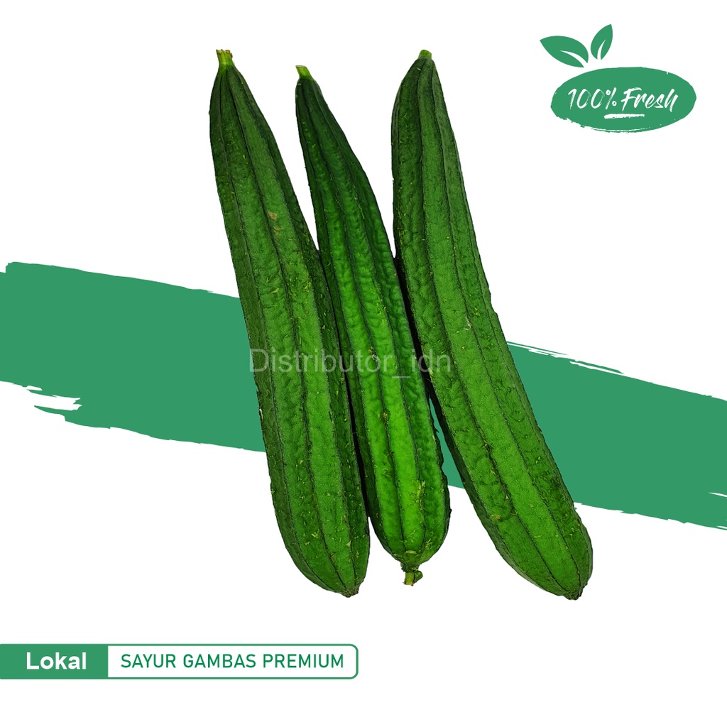 Jual Sayur Oyong Sayur Gambas Super Shopee Indonesia