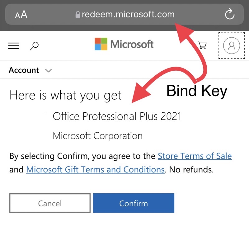 Jual Office 2021 Professional Plus Digital Download Key Original ...