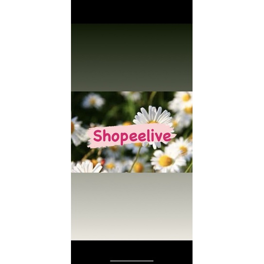 Jual co link 100 (7kg) | Shopee Indonesia