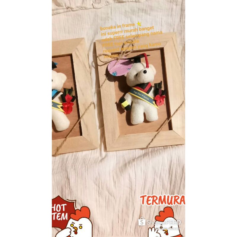 Jual Boneka in Frame - Boneka Wisuda - Figura Wisuda - Hadiah Wisuda ...