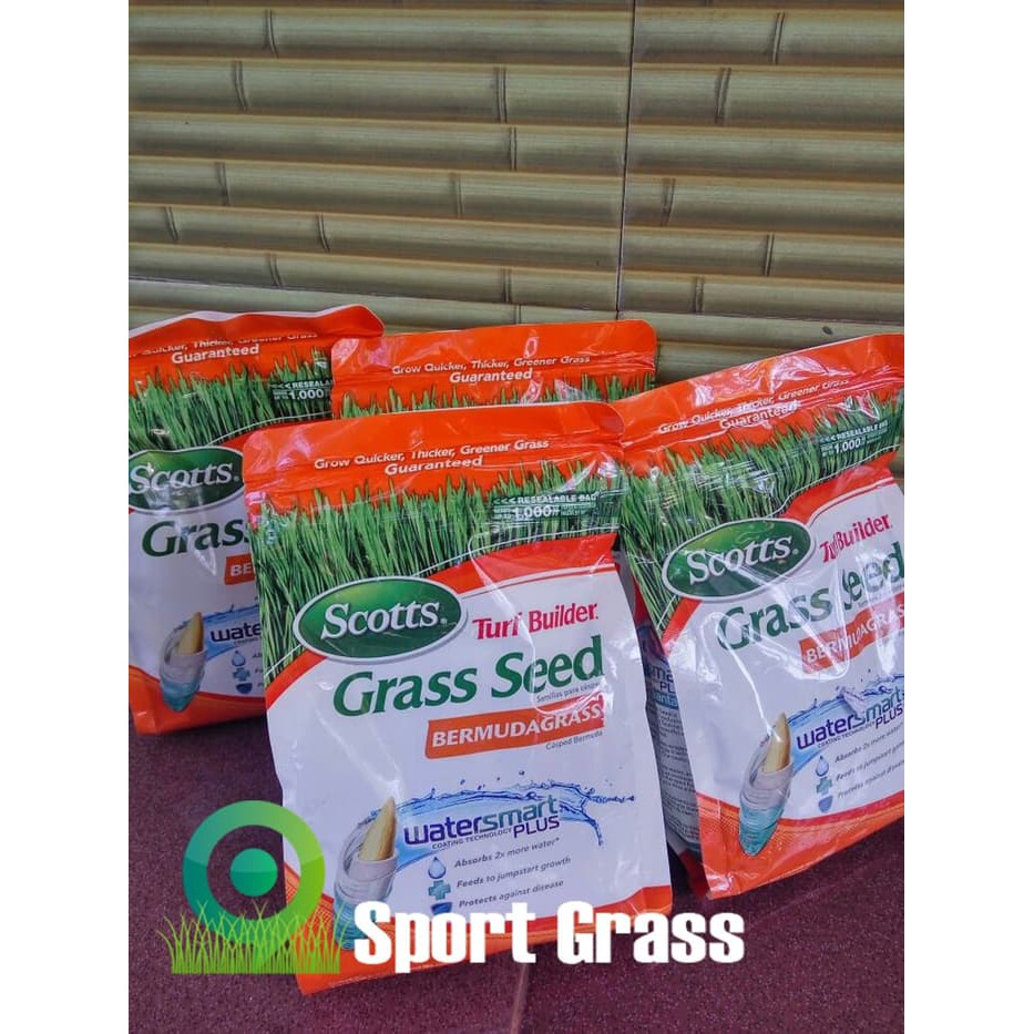 Jual Original Biji Rumput Scotts Turf Builder Bermuda Grass Per 500 Gram Shopee Indonesia