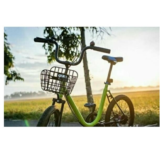 stang model brompton