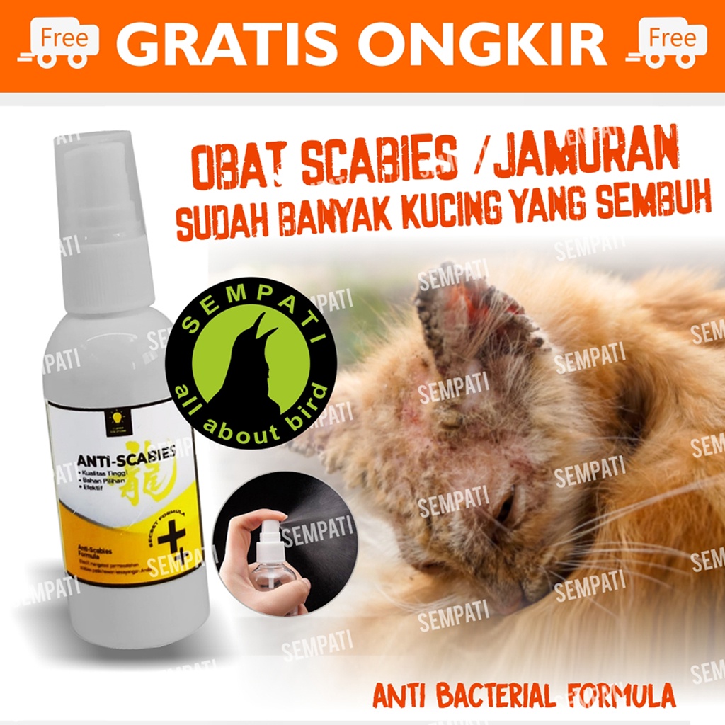 Jual Obat Jamur Kucing Anti Scabies Obat Kulit Spray Obat Kucing Scabies Demodex Impetigo Jamur