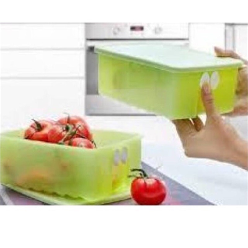Jual tupperware Fridgesmart hijau tempat sayur buah | Shopee Indonesia