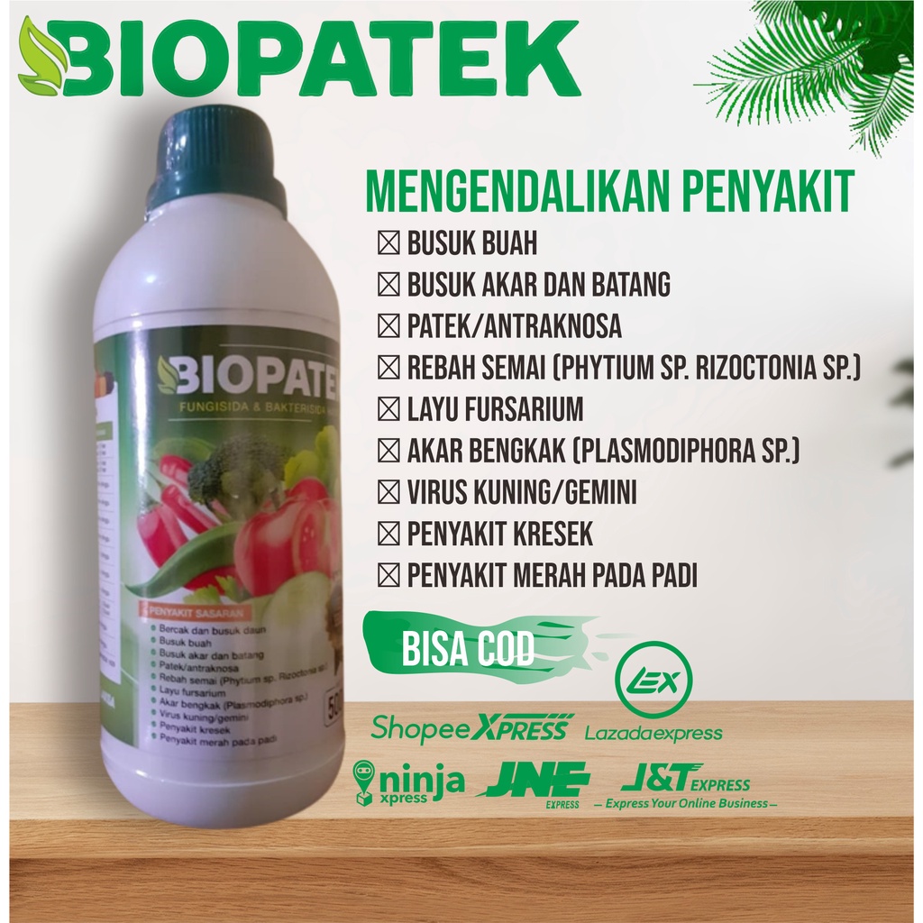 Jual Biopatek Fungisida Hayati Mengatasi Akar Gada Pada Kubis Sawi