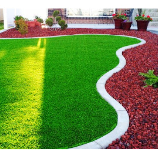 Jual Japonica Grass Benih Rumput Jepang Rumput Taman | Shopee Indonesia