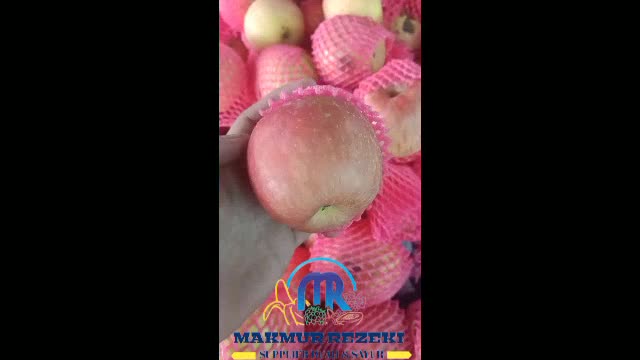 Jual BUAH APEL FUJI RRC IMPORT SEGAR 1KG | Shopee Indonesia