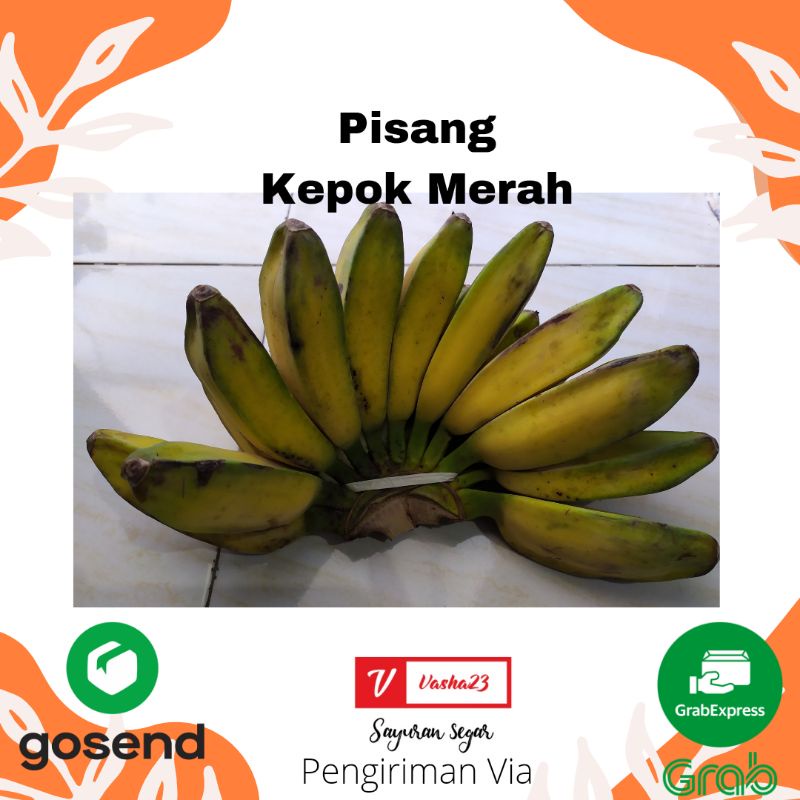 Jual PISANG KEPOK MERAH PER SISIR | Shopee Indonesia