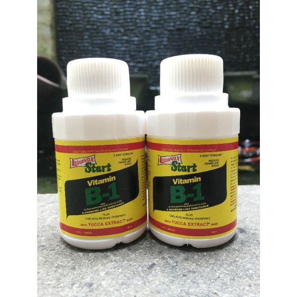 Jual Vitamin B-1 Liquinox 100 Ml | Shopee Indonesia