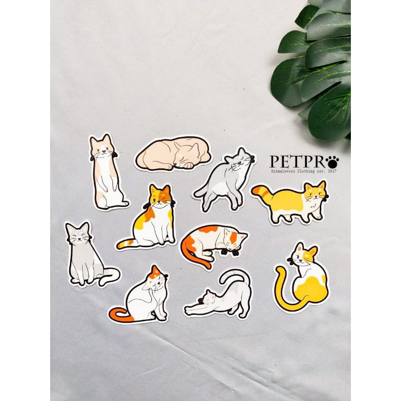 Jual Sticker Pack Kucing (Isi 10) | Shopee Indonesia