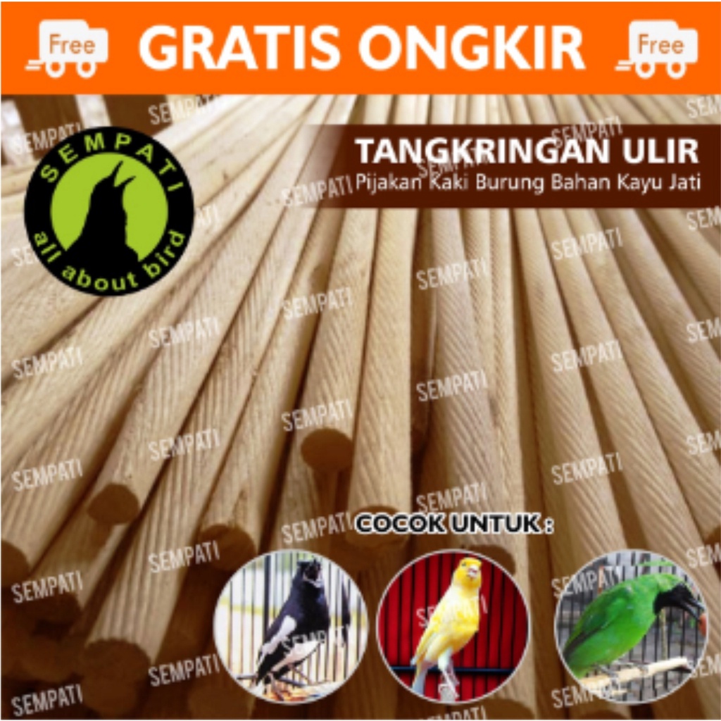 Jual Tangkringan Setan Pangkringan Plastik Warna Untuk Sangkar Kandang Burung Lovebird Shopee